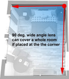 Down View, WiFi Smoke Detector Spy Camera for Smart Phone and PC Remote Viewing. (Low Light) (No Battery, No Audio, No IR