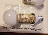 Light Bulb Home Diversion Stash