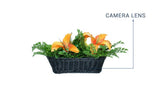 Artificial Plant Decor with Discreet, WiFi-Enabled 4K Hidden Camera     123